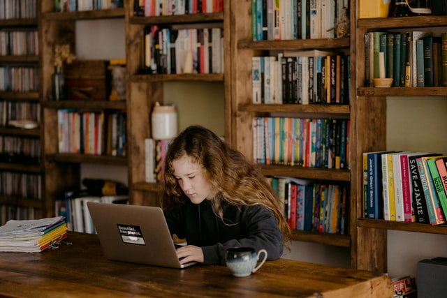 Independent School Consultancy
